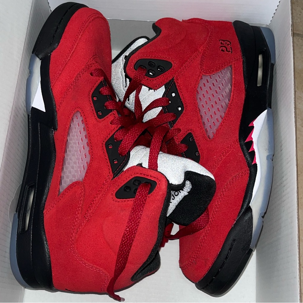 Air Jordan 5 Retro Raging Bull